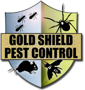 local pest control company services in Pasadena, Long Beach, Paramount, Wilmington and Carson